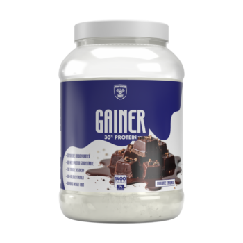 Гейнер Protein Whey Gainer 20% / 1500 г